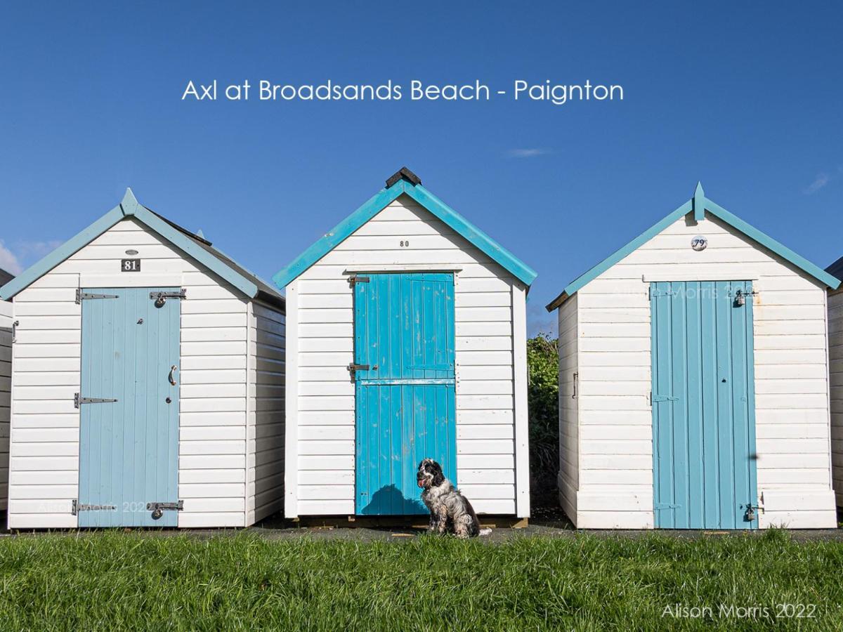 Dart Haven - Cheerful Holiday Bungalow In Galmpton Exteriör bild